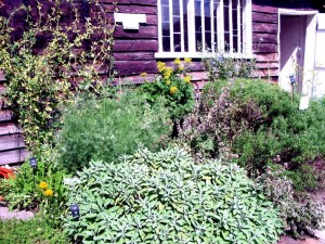 Herb Garden at Chawton Photo: Robin Joyce