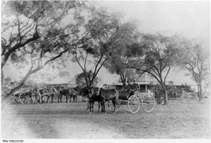 Meetings held by politically active women after horse and buggy transport in the heat. Photo: Royalty Free Stock Photos