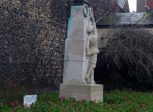 Edith Cavell Photo: Robin Joyce